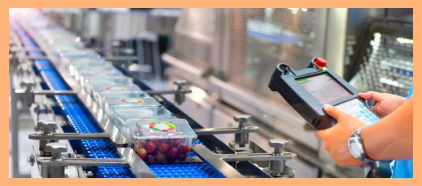 Synaptic WMS dla branży spożywczej