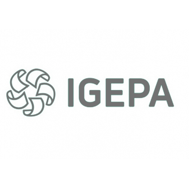 Synaptic igepa referencje