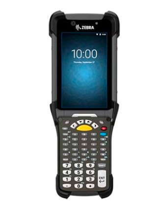 Synaptic terminale zebra