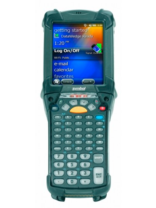 Synaptic terminale zebra